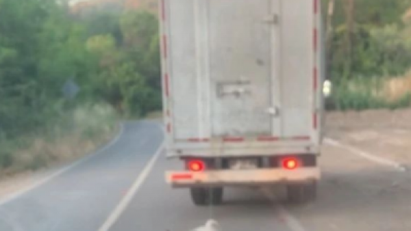Caso de maltrato animal aún conmueve en La Calera: hombre arrastró a un perro con un camión