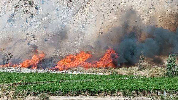 Alerta Roja en Paihuano por incendio forestal
