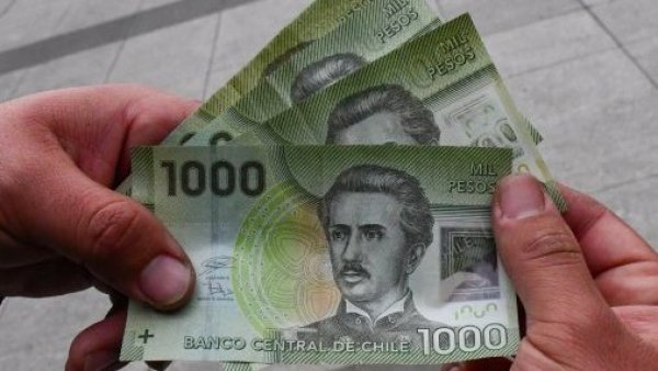 Colusión de pollos: ¿Cómo recibir dinero del acuerdo Sernac y supermercados?
