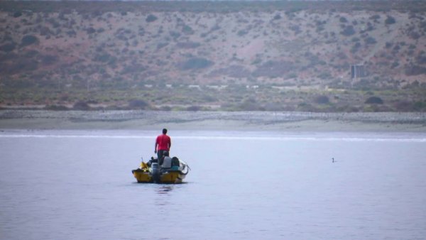 La Gran Corriente de Humboldt | Guardianes - T1E4
