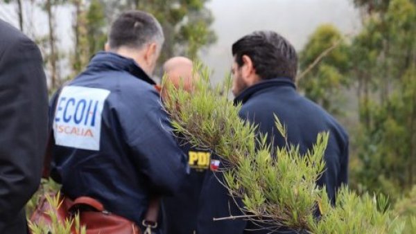 Hallan cráneo humano en casa de hombre buscado por secuestro