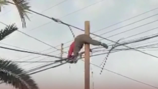 <p>Robo de cables</p>Hombre muere electrocutado por robo de cables
