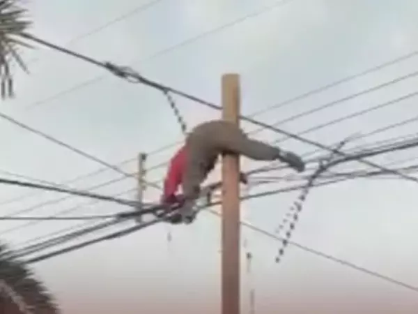 Robo de cables
