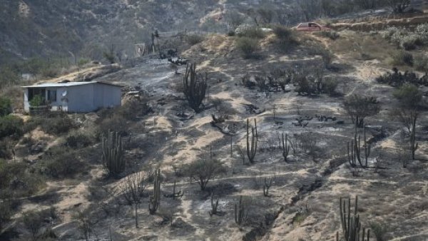 Osamentas humanas son halladas en vivienda consumida por incendio en Limache