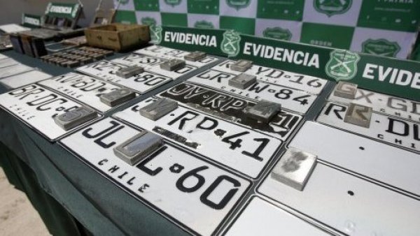 Desbaratan organización que falsificaba patentes y vendía vehículos robados
