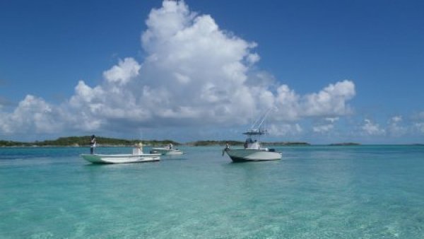 Mujer de 75 años muere ahogada tras caer de un velero en Bahamas