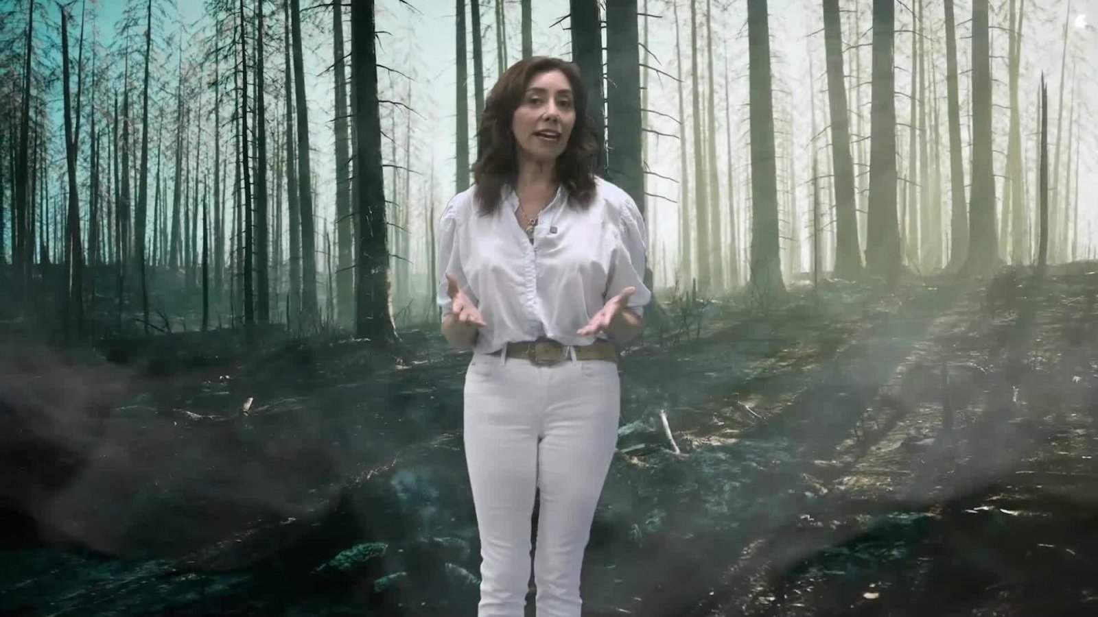 TVN junto a Sodimac te invita a e prevenir los incendios forestales
