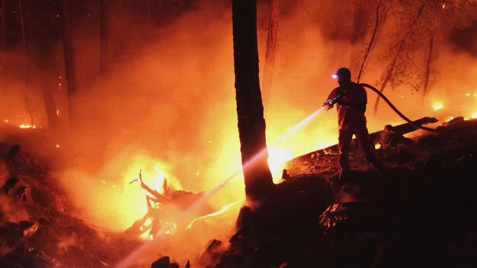 Más de 400 mil hectáreas fueron consumidas en incendios forestales
