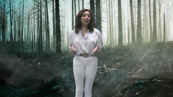 TVN junto a Sodimac te invita a e prevenir los incendios forestales