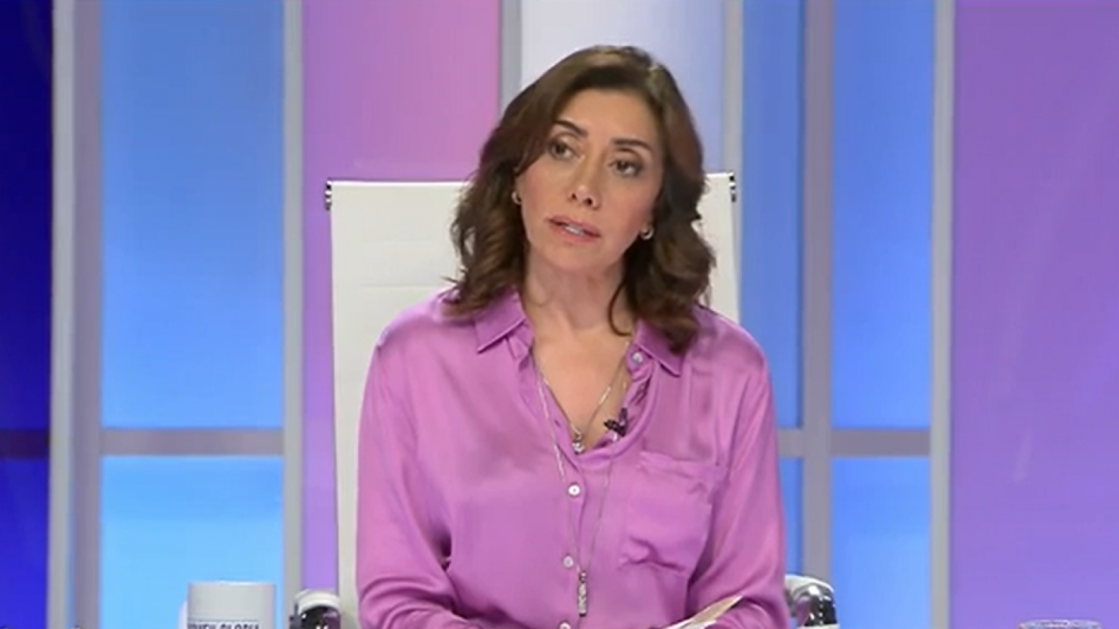 Carmen Gloria a tu servicio | Capítulo 17 de enero 2024: ¡Queremos la casa de vuelta!
