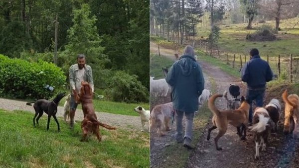 ¡Lo logró! Hombre encontró arriendo junto a sus 26 perros en Santiago