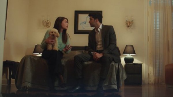 Un perrito y un problema: Revisa un adelanto de este miércoles de "Yo decido amar"
