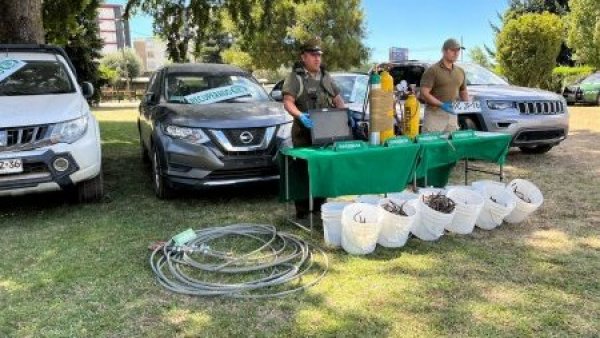 Carabineros recuperó cuatro vehículos avaluados en más de 60 millones de pesos