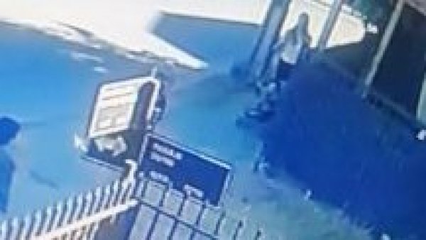 Perro fue acusado de morder a su vecina, pero lograron demostrar su inocencia
