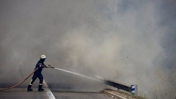 Conaf por incendio de Lago Peñuelas: “Todo indicaría que hay intencionalidad"
