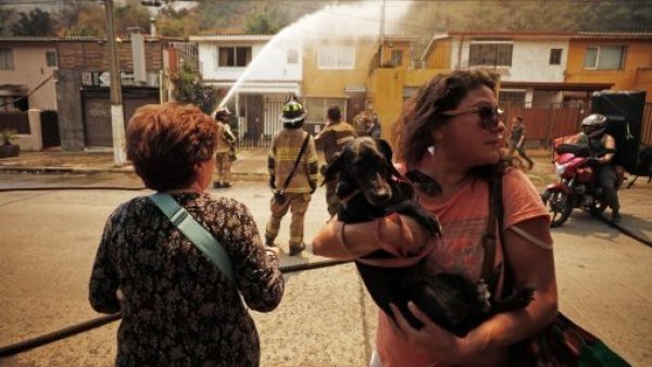Desafío Levantemos Chile: conoce cómo donar para damnificados de incendios