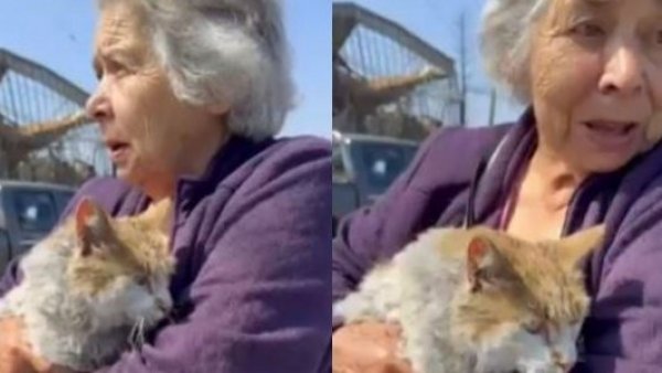 Adulta mayor protagoniza emotivo reencuentro con su gatito perdido en incendio
