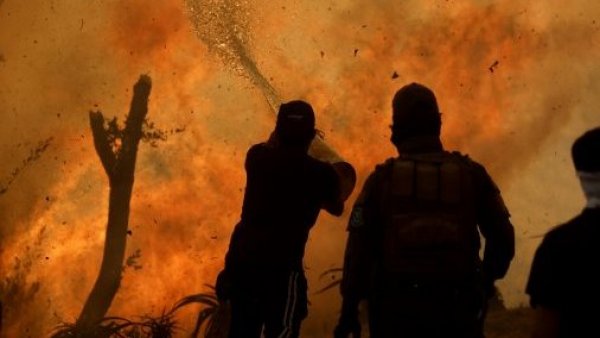 Conaf reporta otro incendio en zona de Papudo
