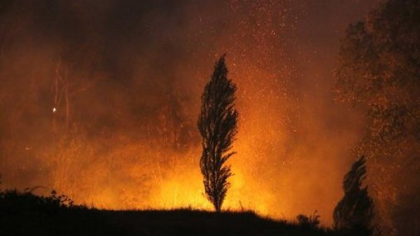 Cancelan alerta roja en región de O’Higgins por incendios forestales
