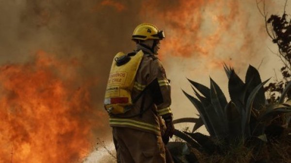 Servicio Médico Legal mantiene cifra de 131 fallecidos por incendios
