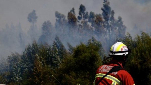 Reportan incendio forestal en zona aledaña a Casablanca
