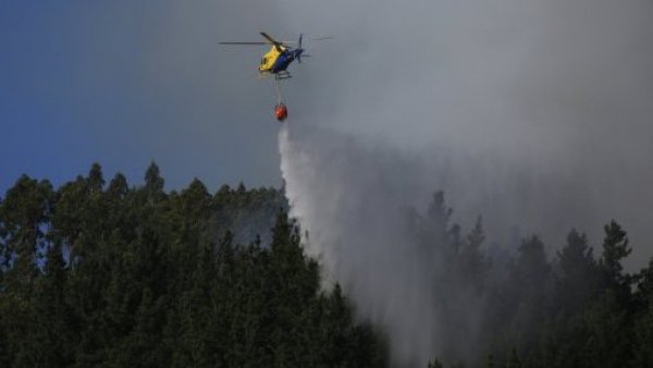 Conaf informó que incendio forestal en Casablanca estaría controlado
