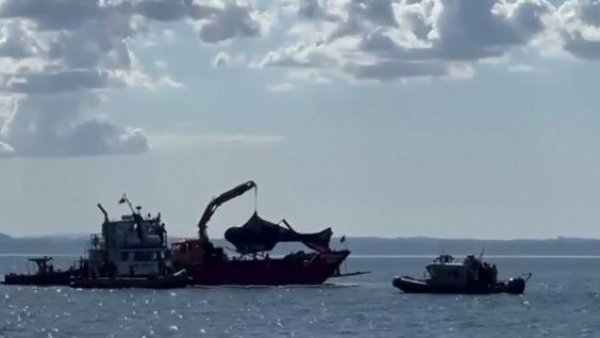 Revelan el minuto a minuto del accidente del expresidente Piñera