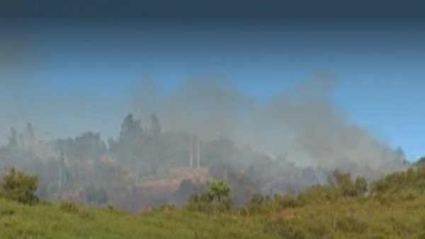 Senapred declara alerta roja para Temuco por incendio forestal cerca del Cerro Ñielol
