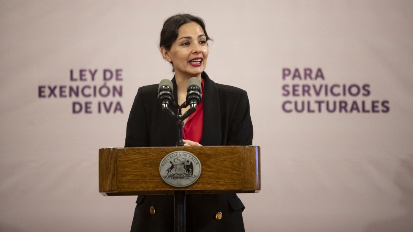Ministra Arredondo: "Chile es un país solidario y la cultura de la solidaridad se hace presente"
