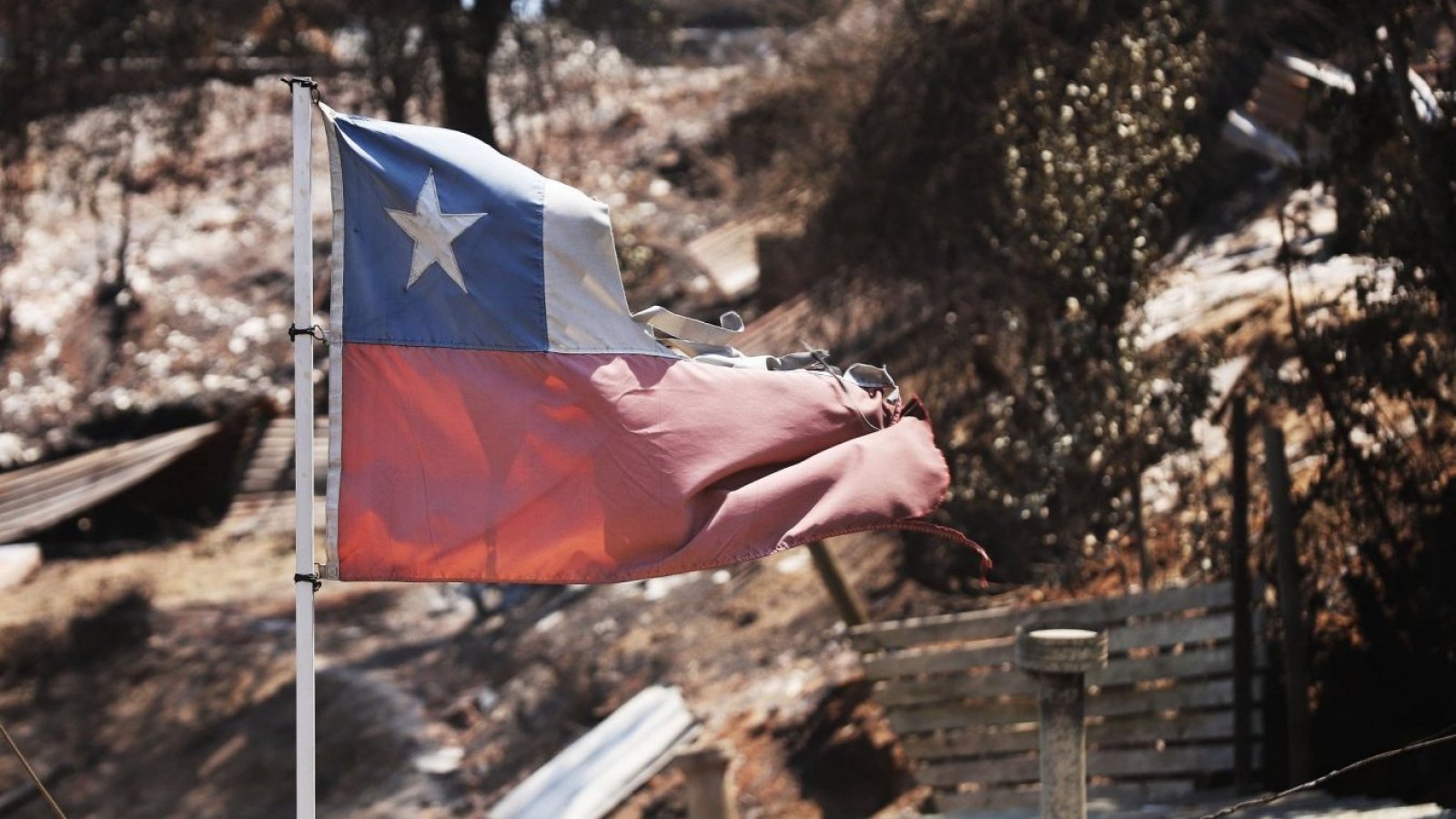 ¡Todo listo para ayudar! No te pierdas esta tarde "Juntos Chile se levanta" por TVN
