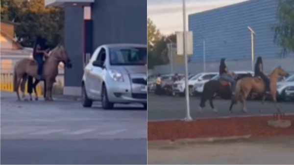Se hizo viral: Jóvenes llegan en caballo a comprar a AutoMac