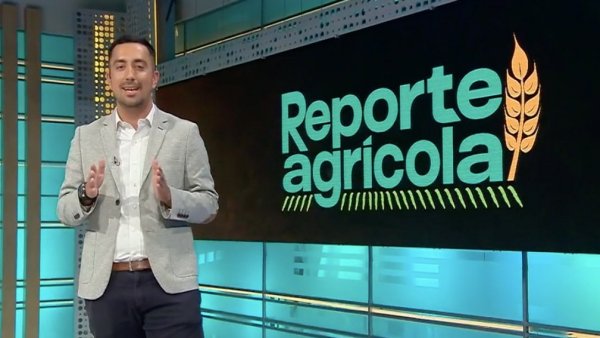 Reporte Agrícola - capítulo 24 de marzo 2024
