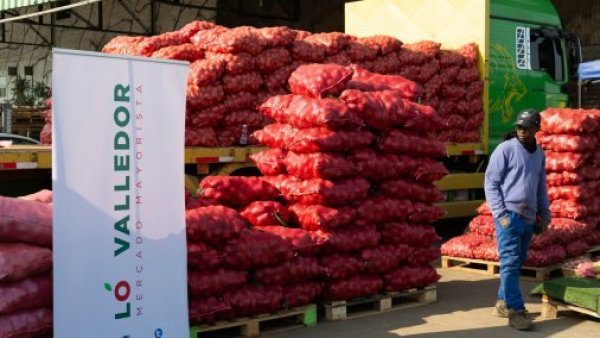 Mercado Lo Valledor exigirá carnet chileno para ingresar al lugar
