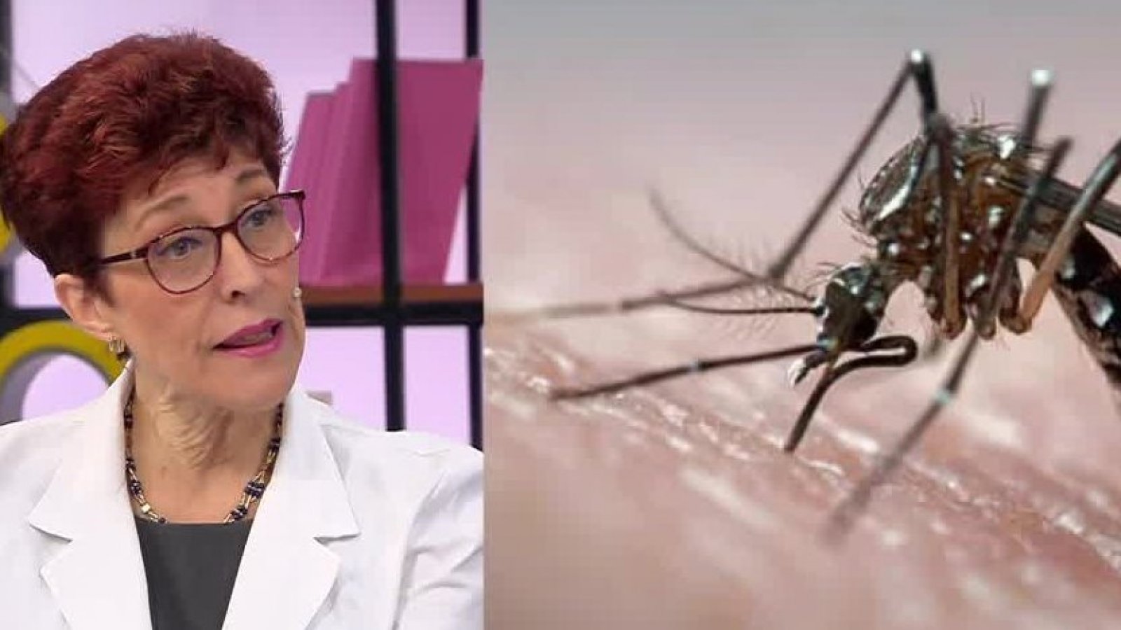 ¿Cuáles son los síntomas del Dengue?
