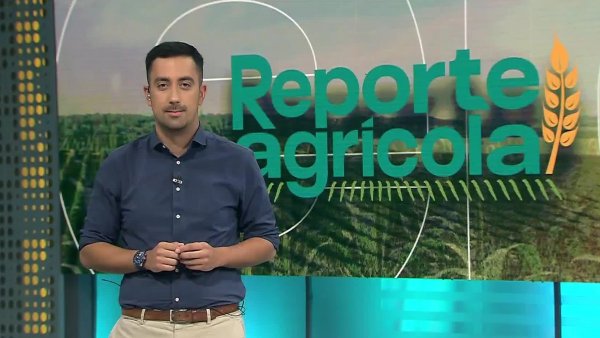 Reporte Agrícola - capítulo 14 de abril 2024
