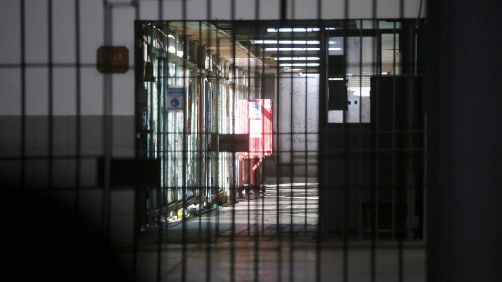 Sujeto que mató a un perro a puñaladas es condenado a 2 años de presidio efectivo
