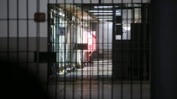 Sujeto que mató a un perro a puñaladas es condenado a 2 años de presidio efectivo
