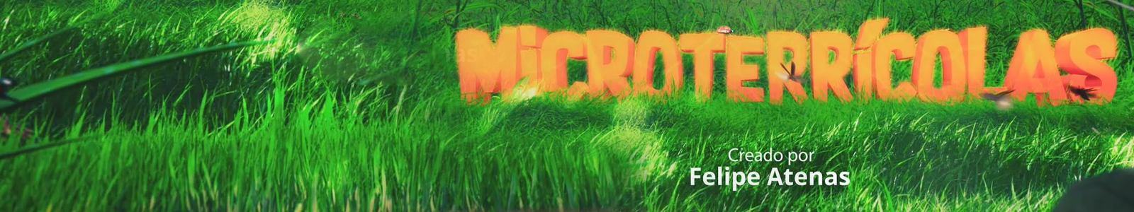 MICROTERRÍCOLAS