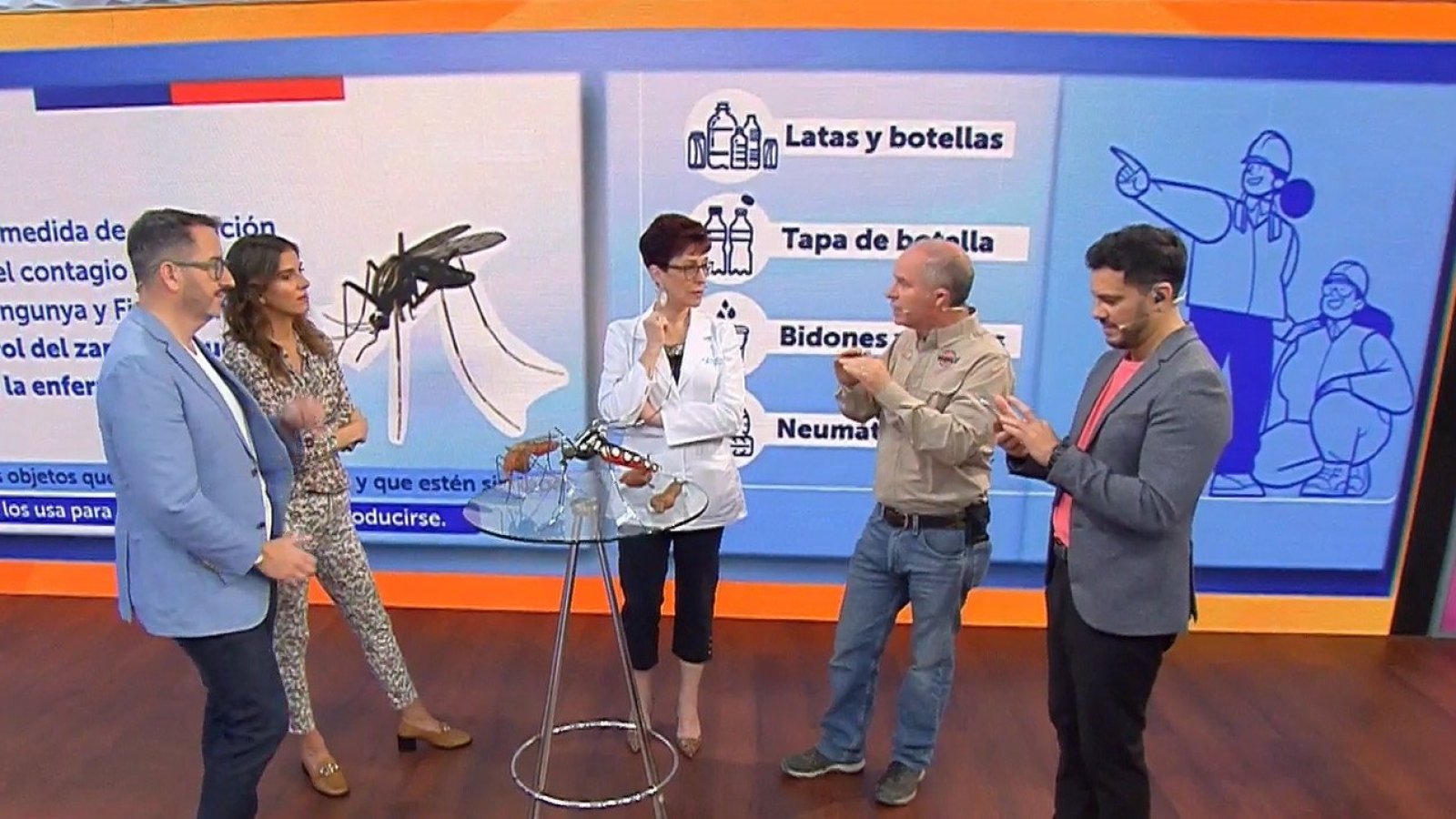 Síntomas, prevención y repelentes: Las preguntas frecuentes sobre el dengue

