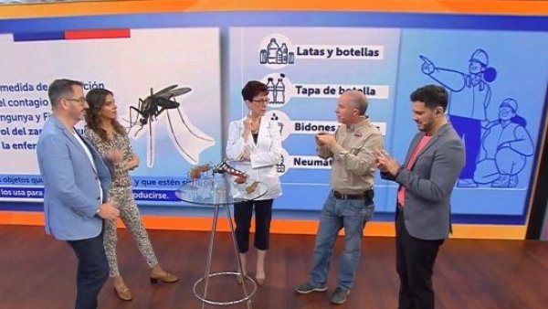 Síntomas, prevención y repelentes: Las preguntas frecuentes sobre el dengue

