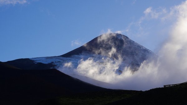 Kimlu en esta expedición conocen el Volcán Osorno y su bosque