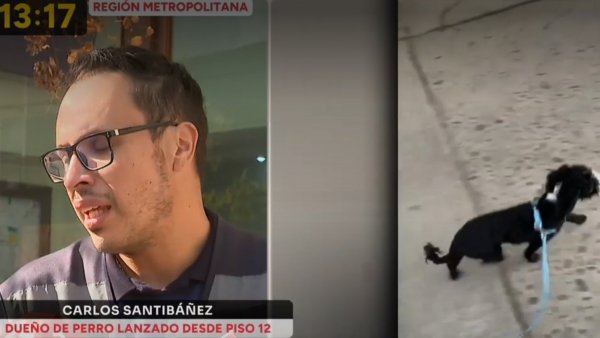 Dueño de perro que murió tras ser lanzado desde edificio pide justicia