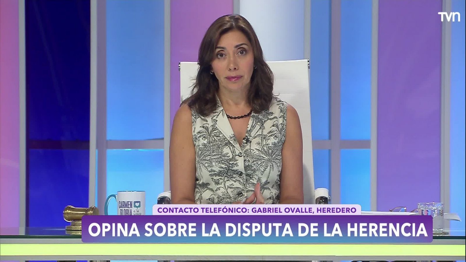Carmen Gloria a tu servicio | Capítulo 24 de abril 2024: Necesito mi libertad
