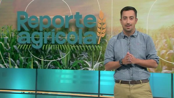Reporte Agrícola - capítulo 28 de abril 2024
