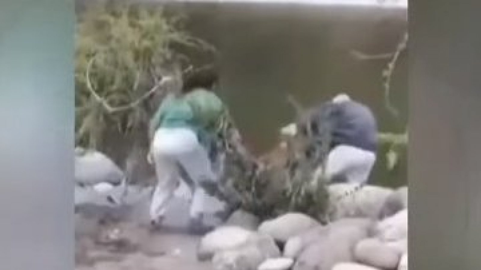Fiscalía inicia investigación por mujer que empujó a hombre al río Achibueno
