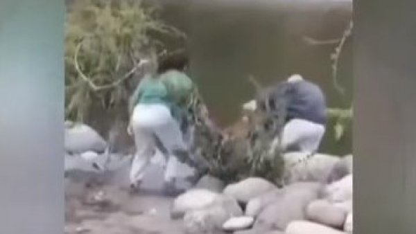 Fiscalía inicia investigación por mujer que empujó a hombre al río Achibueno
