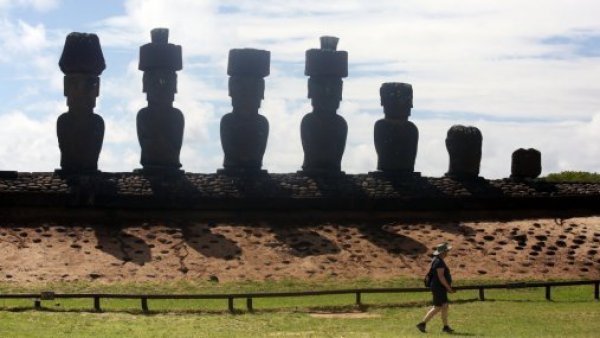 Isla de Pascua se convierte en el primer área mundial libre de enfermedades apícolas

