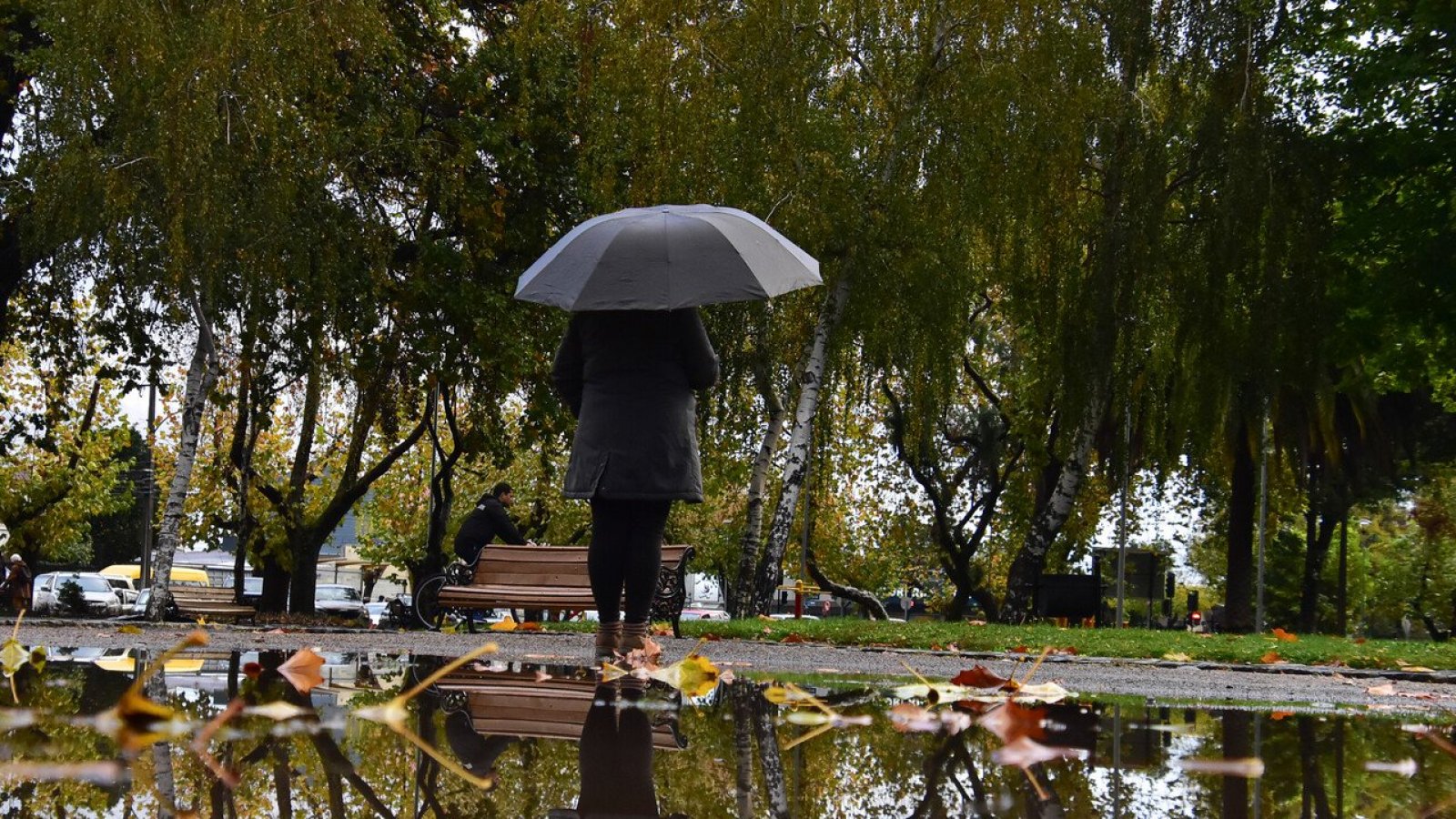Especial atención en riesgos: Autoridades entregan balance por alerta meteorológica
