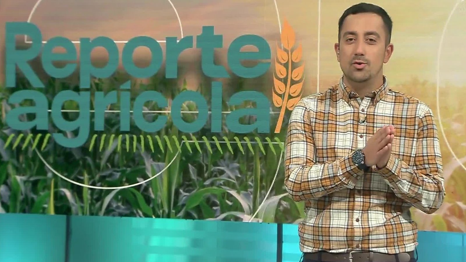 Reporte Agrícola - capítulo 12 de mayo 2024

