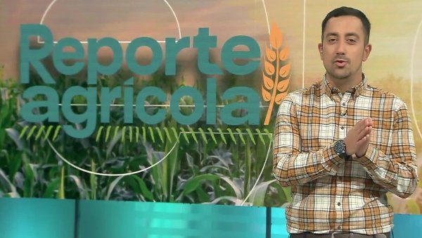 Reporte Agrícola - capítulo 12 de mayo 2024
